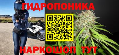 гашик Ипатово