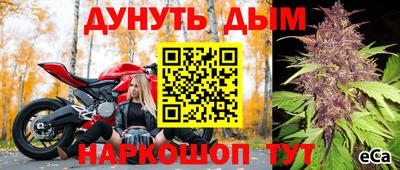 прущие грибы Изобильный